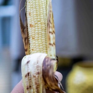 hand holding ear of grilled corn with husk pulled back