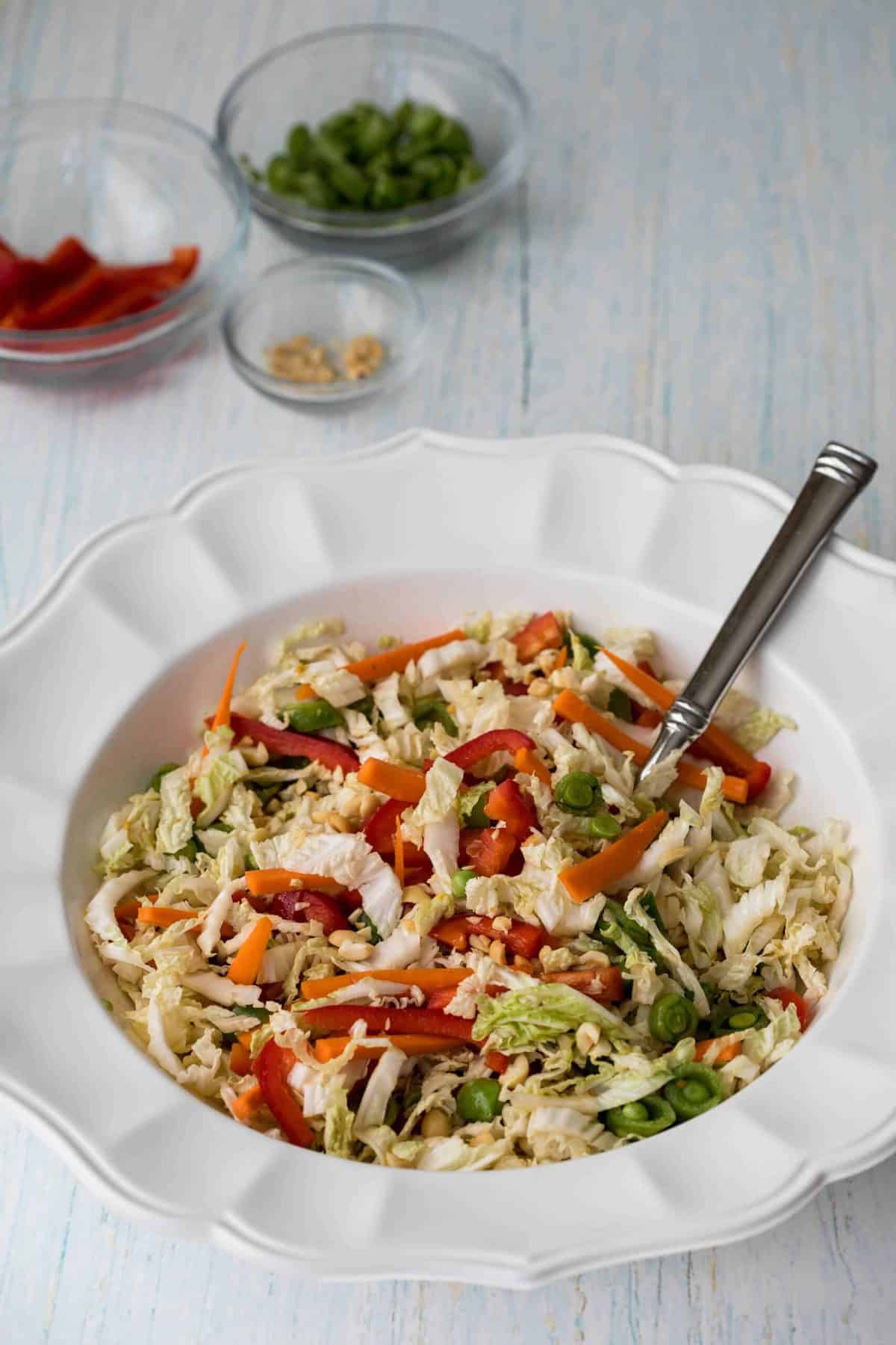 Asian Cabbage Slaw - Vanilla Bean Cuisine recipes