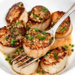 close up of spicy scallop scampi in bowl with fork