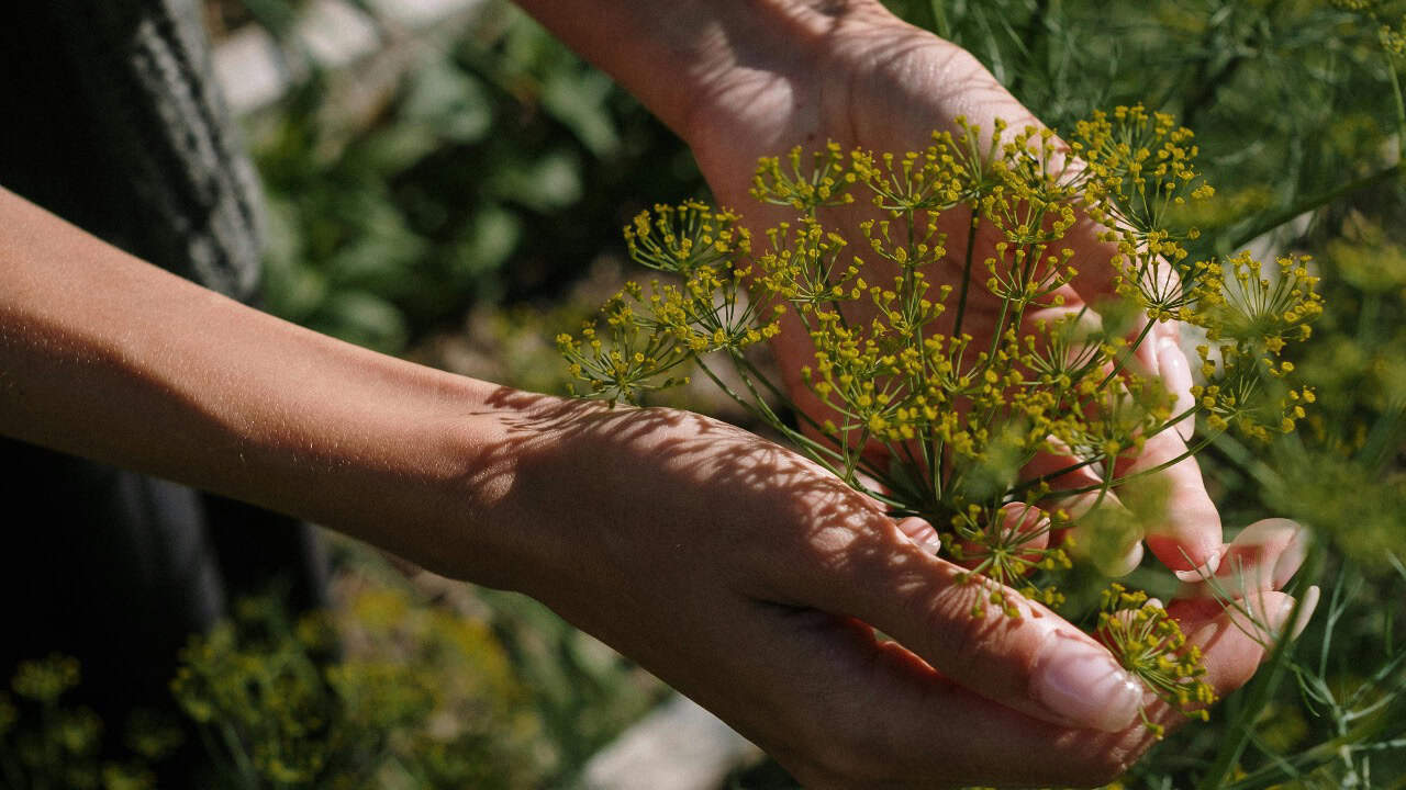 cottonbro studio/Pexels