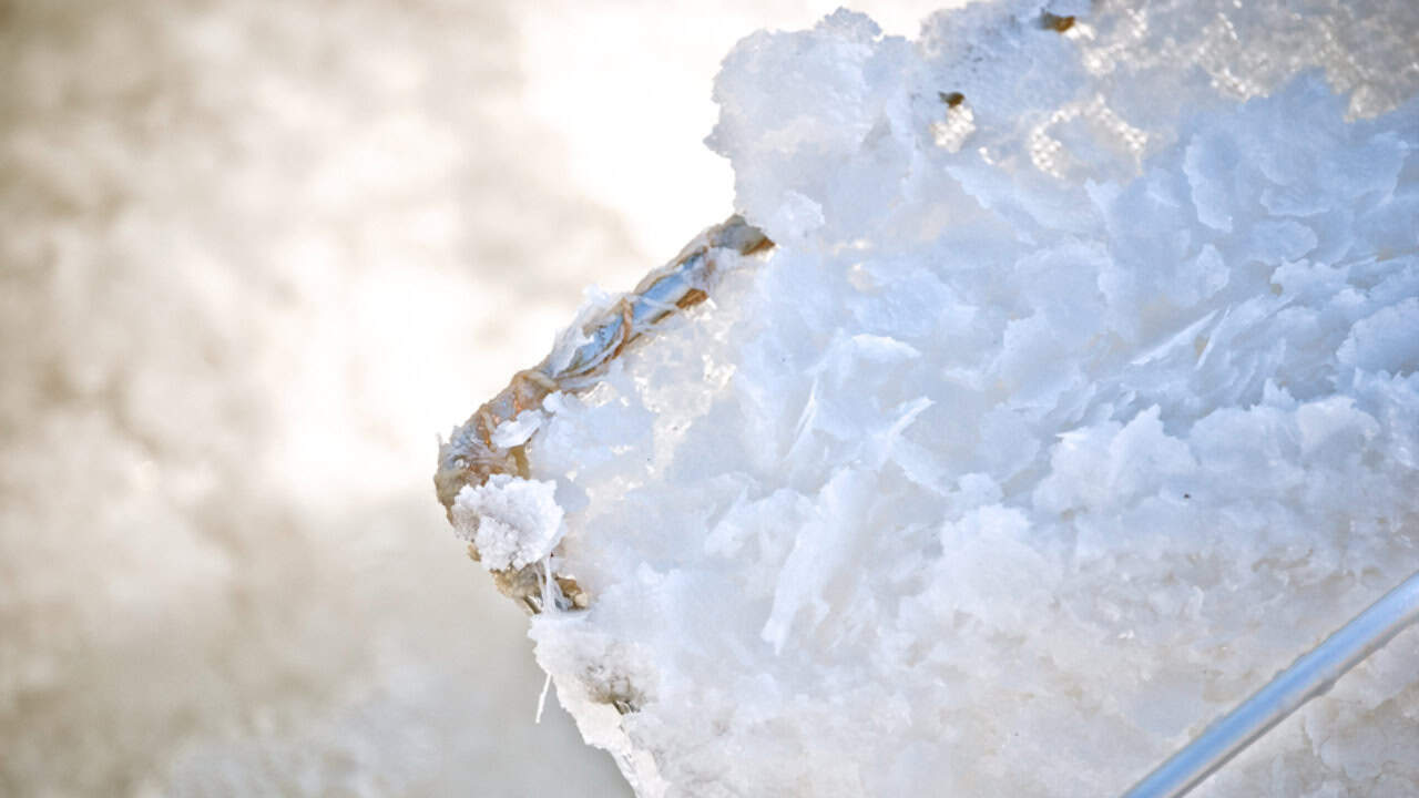 Image Credit: ArtSal - Flor De Sal - CC BY-SA 4.0/Wiki Commons