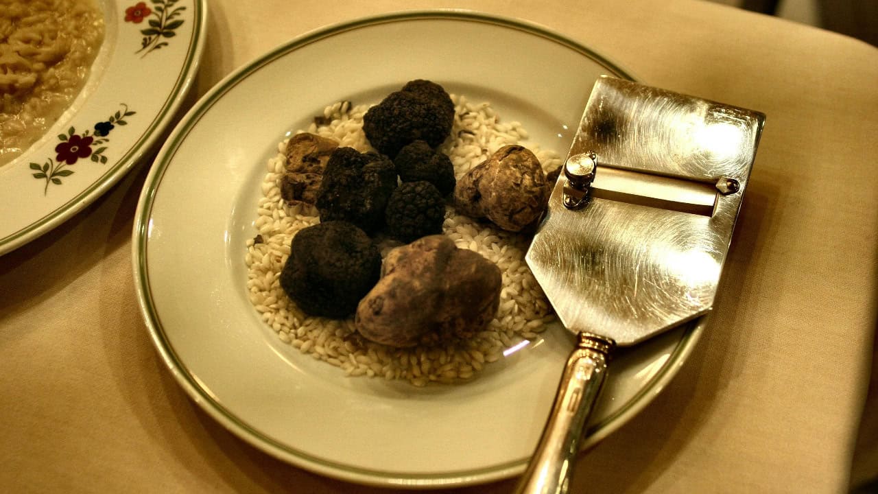 Andrea Piacquadio/Pexels