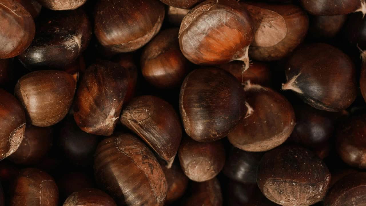 Arina Krasnikova/Pexels