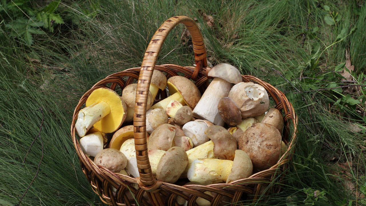 Image Credit: George Chernilevsky - Public domain/Wiki Commons