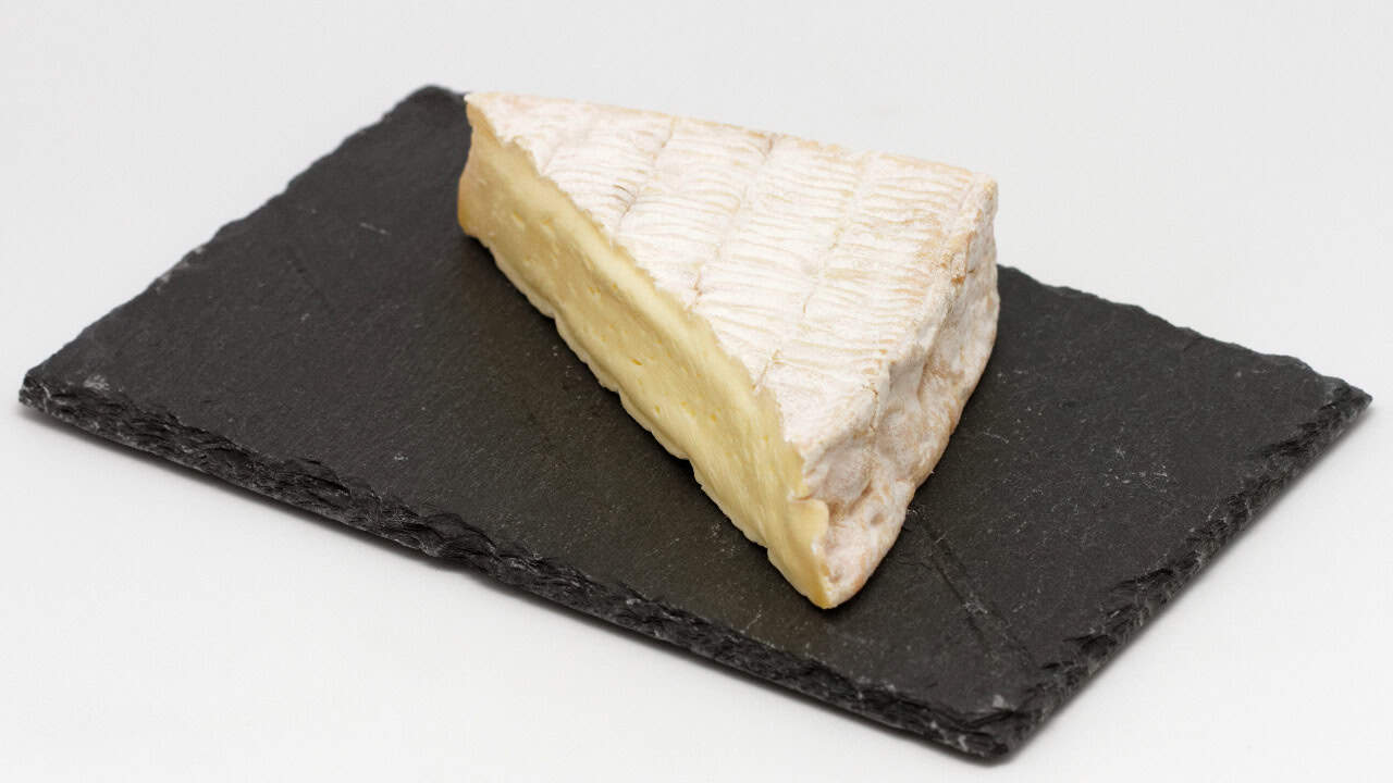 Image Credit: Coyau - CC BY-SA 3.0/Wiki Commons