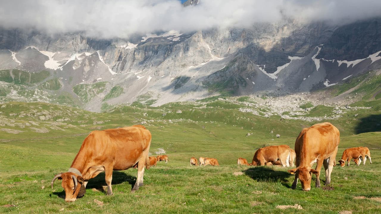 PHILIPPE SERRAND/Pexels