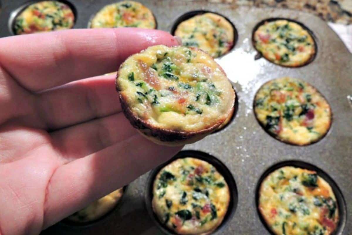 Mini Quiche Appetizers