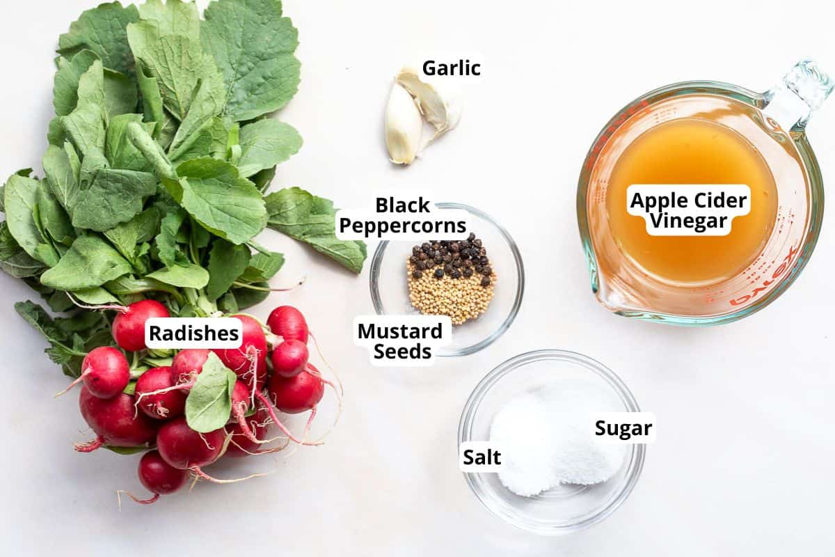Labeled ingredients for pickling: radishes, garlic, black peppercorns, mustard seeds, apple cider vinegar, salt, and sugar arranged on a white surface.